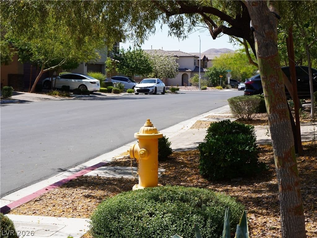 9253 Romance Diamond ST photo 3