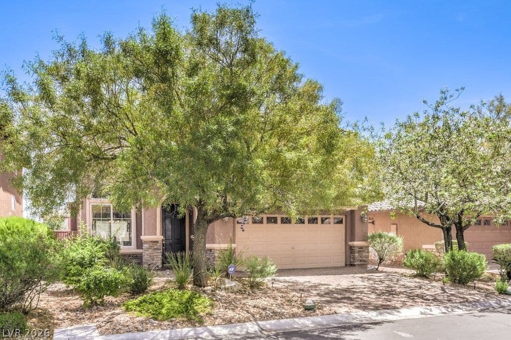 10240 Montes Vascos Drive photo 3