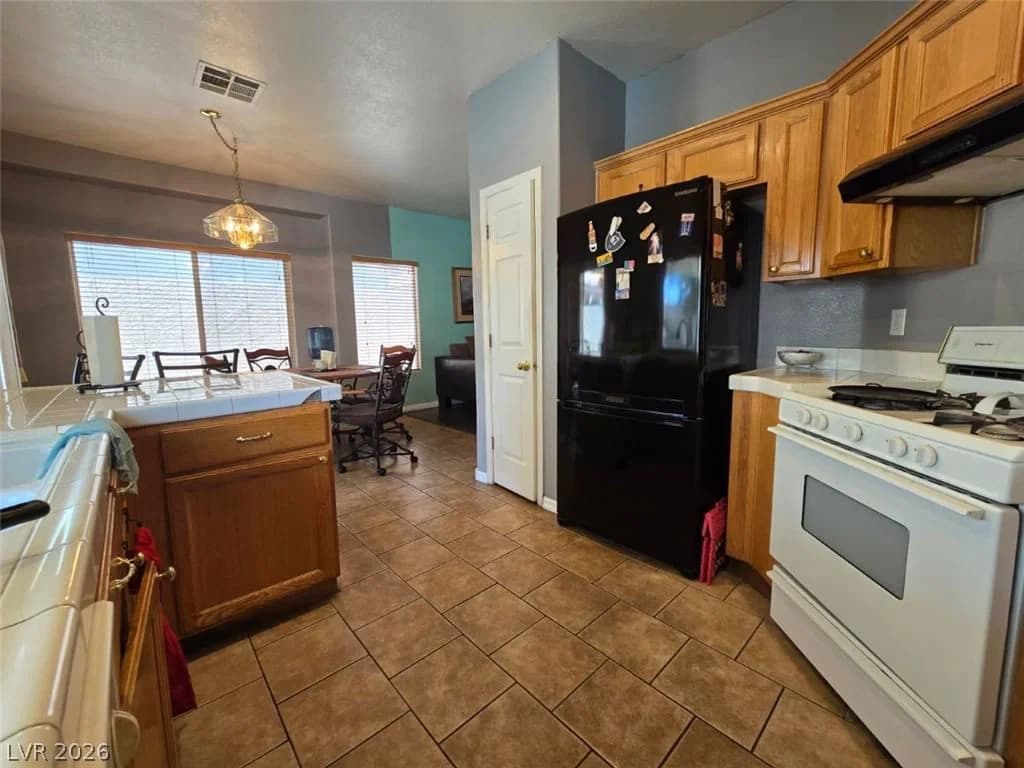 1155 Warm Canyon Way photo 4