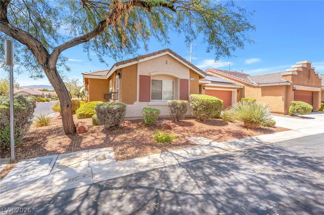 5346 Cholla Cactus Avenue photo 3