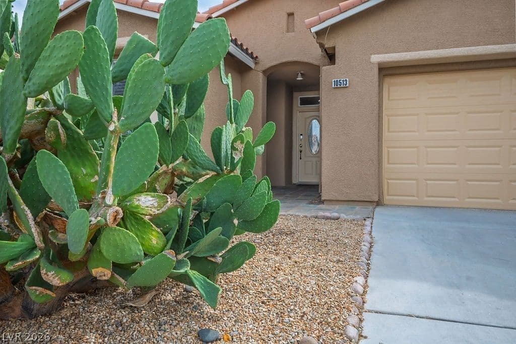 10513 Shanna Trellis Avenue photo 4