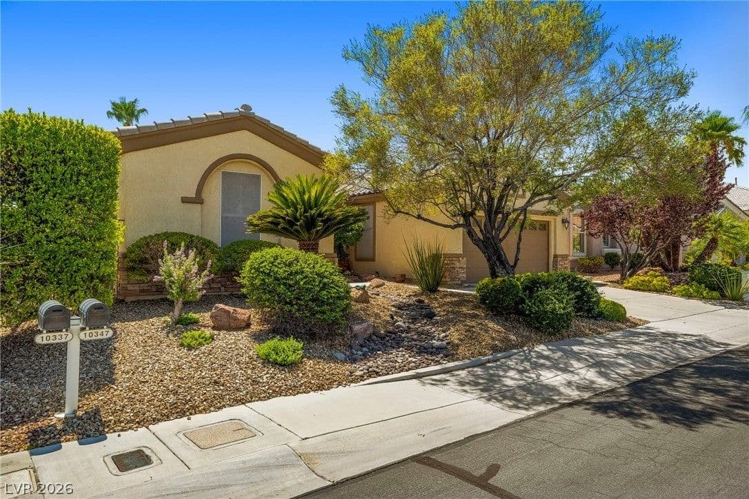 10347 Profeta Court photo 3
