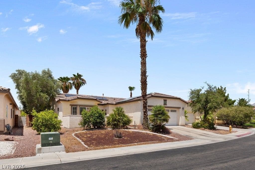 6243 Black Mane Way photo 3