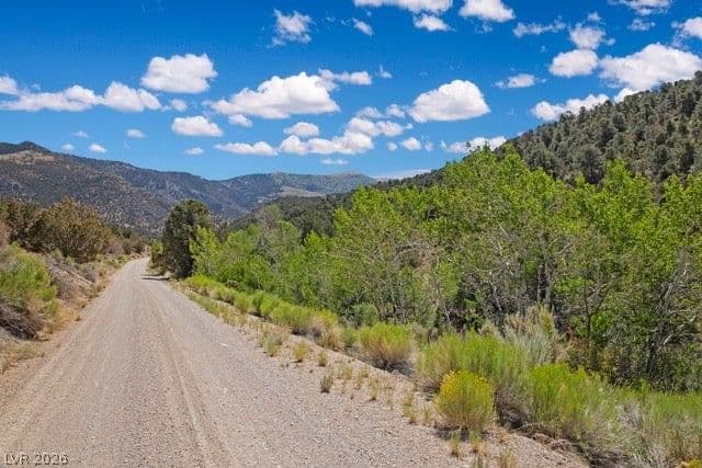 5205 BIRD CREEK Road photo 2