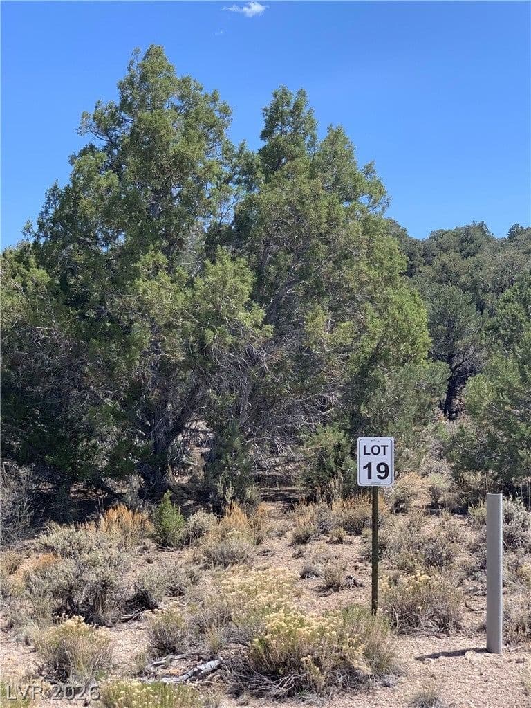 5205 BIRD CREEK Road photo 5