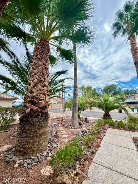 804 RANCHO COAST Way photo 3